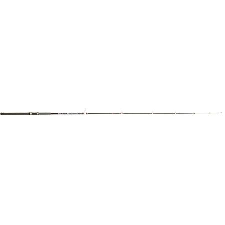 BNM Silver Cat Catfish Series Rod 8ft 2pc Spinning SCAT80S